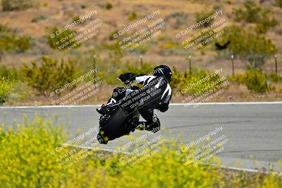 media/May-10-2024-2WTD (Fri) [[c88d7990af]]/Group C/Session 2-The Bowl/